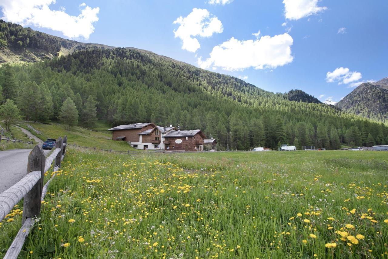 Agriturismo Bosco D'Oro 4 Apartment Ливиньо Екстериор снимка